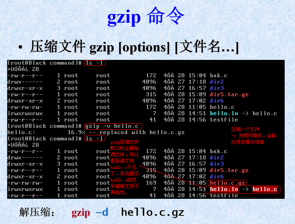 gzip